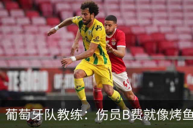 葡萄牙队教练：伤员B费就像烤鱼，别急着上桌！